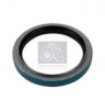 DT 5.30113 Shaft Seal, wheel hub